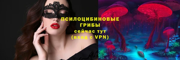 герыч Ельня