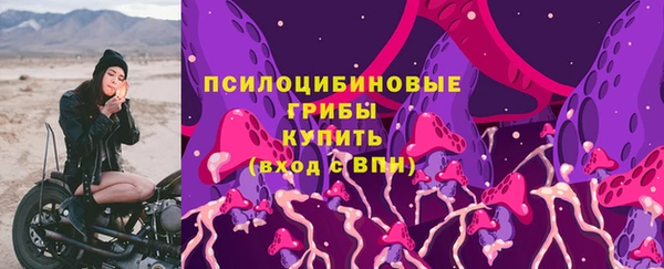 герыч Елабуга